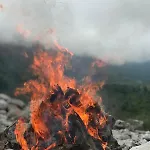 Kakia
