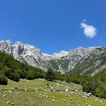 Kakia *