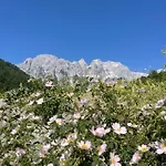 Kakia