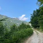 Kakia *