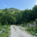 Kakia