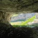Kakia * Vrana