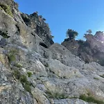 Kakia Vrana