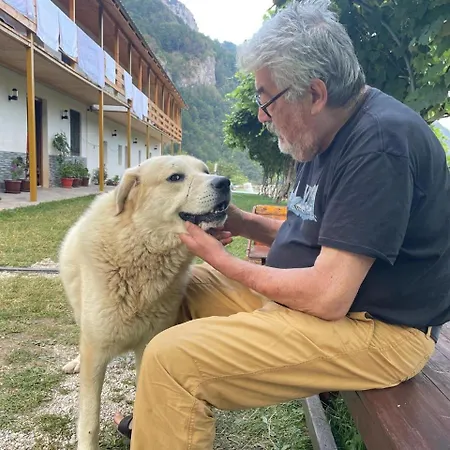 Kakia Гостевой дом Vrana