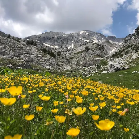 Kakia Гостевой дом *