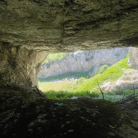 Kakia * Vrana