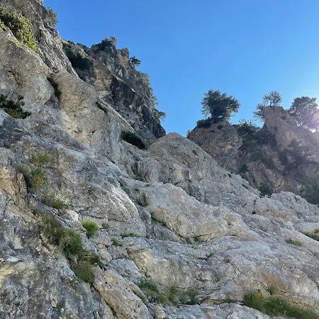 Kakia Vrana