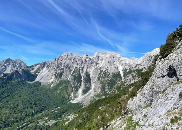 Kakia * Vrana
