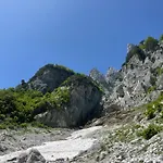 Kakia *