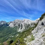 Kakia * Vrana