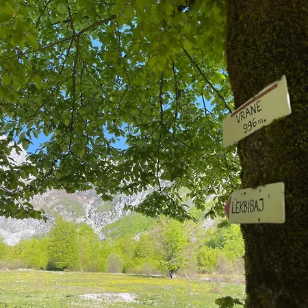 Kakia 게스트하우스 *