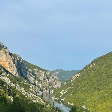 Kakia
