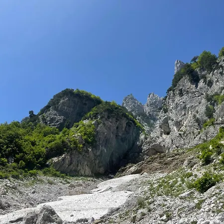 Kakia *