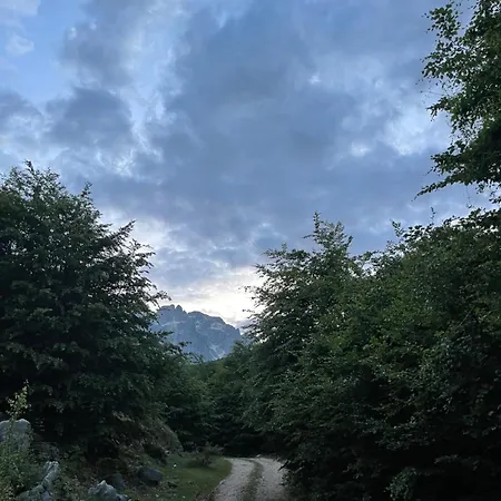 Kakia 게스트하우스