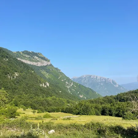 Kakia 게스트하우스