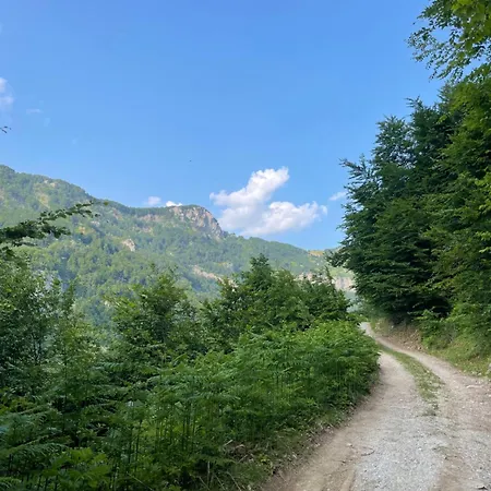 Kakia *
