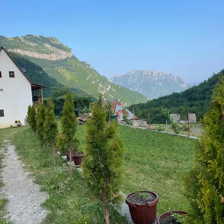 Kakia * Vrana