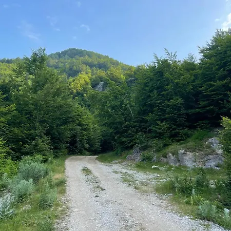 Kakia
