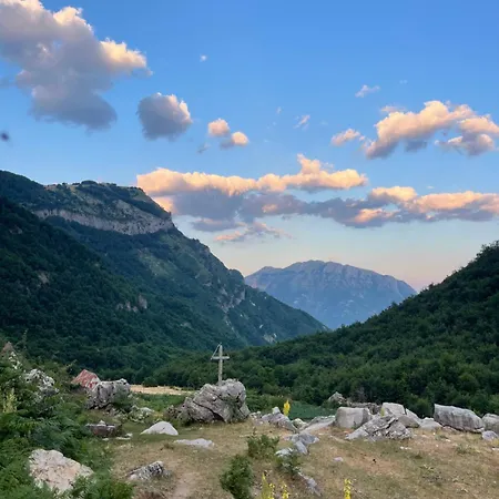 Kakia Vrana