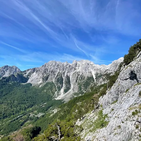 Kakia * Vrana