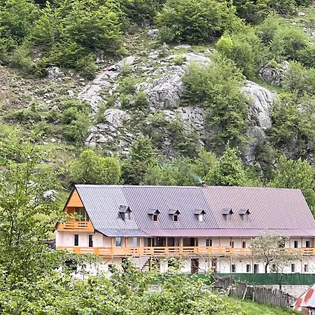 Kakia *