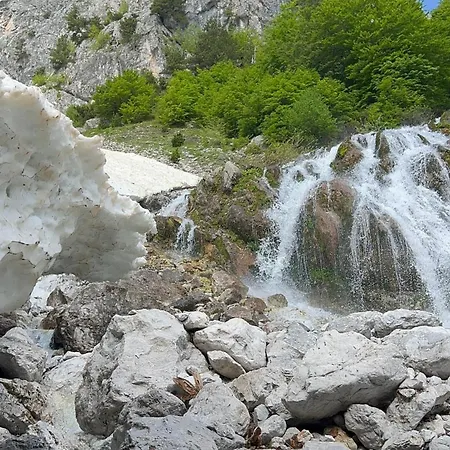 Kakia *