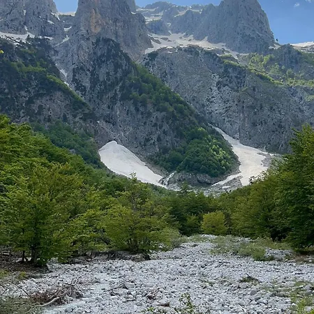 Kakia